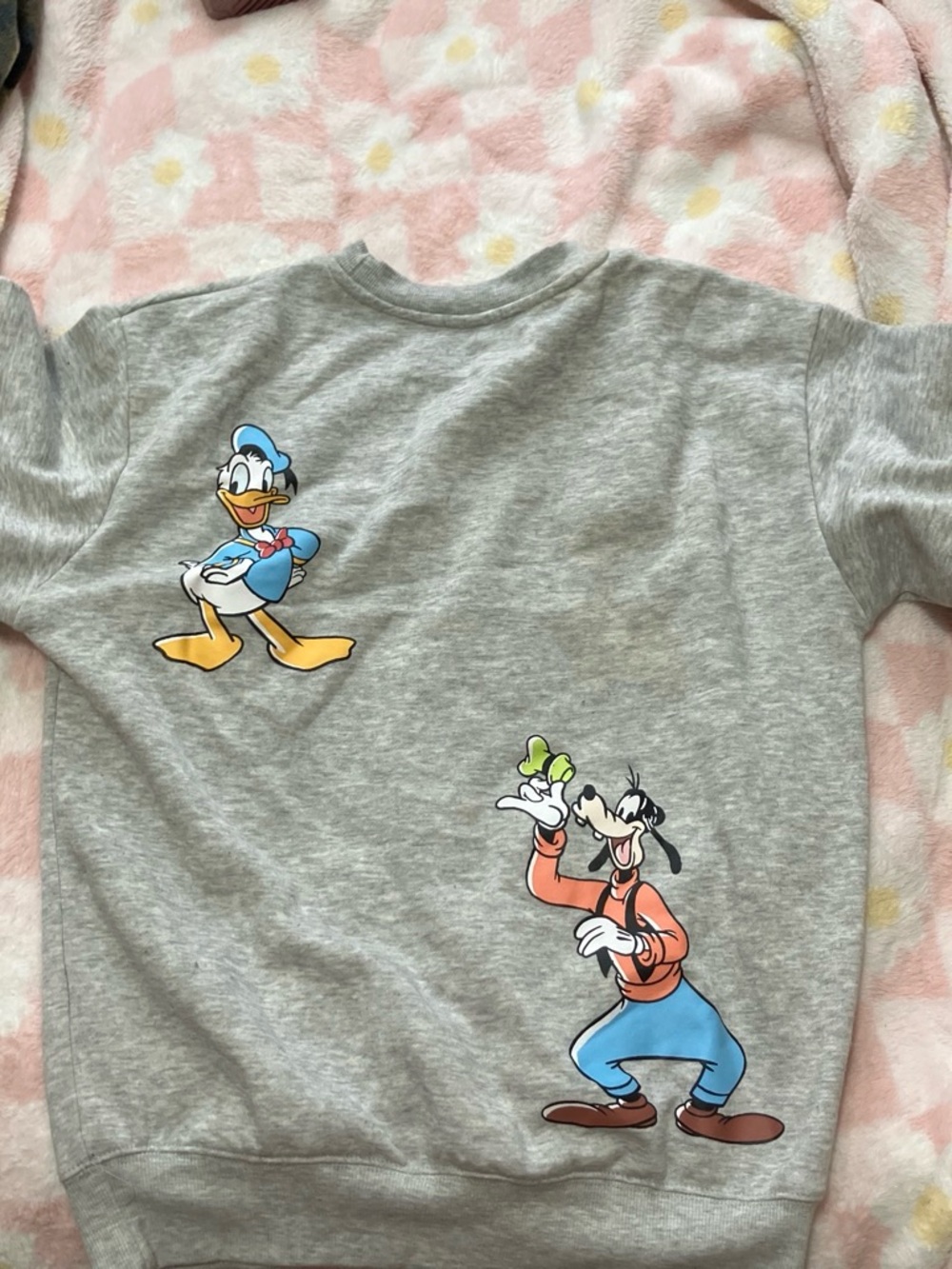 Disney Grey Kids Sweatshirt with Donald Duck & Goofy Graphics